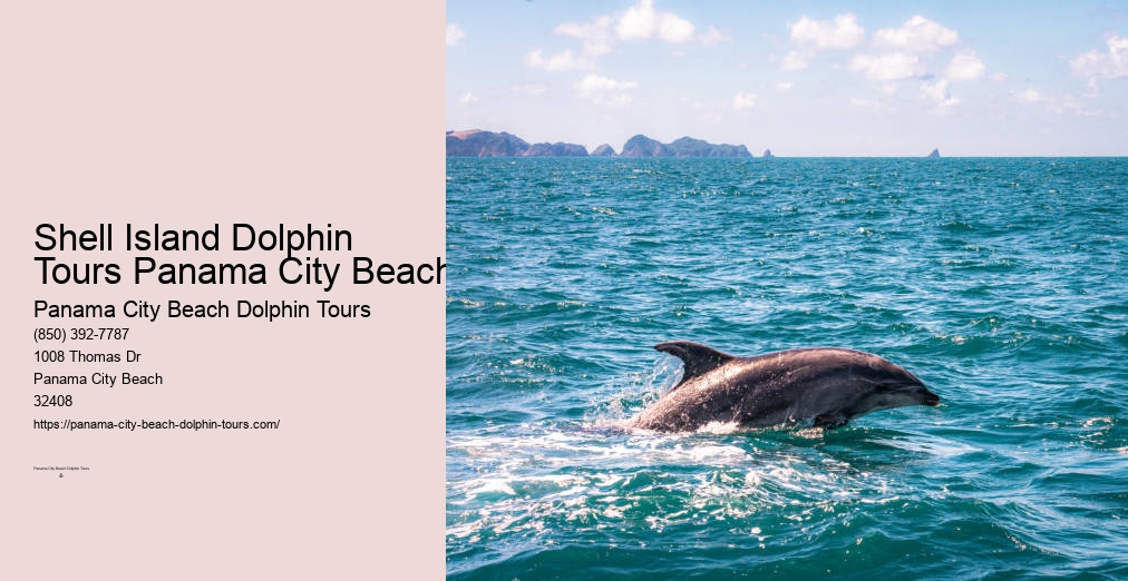 Dolphin Cruises Panama City Beach