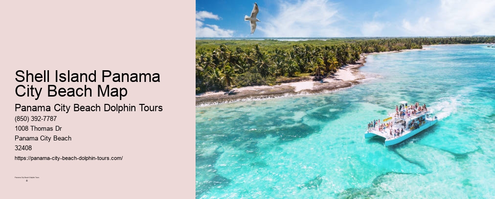 Best Dolphin Tours Panama City Beach