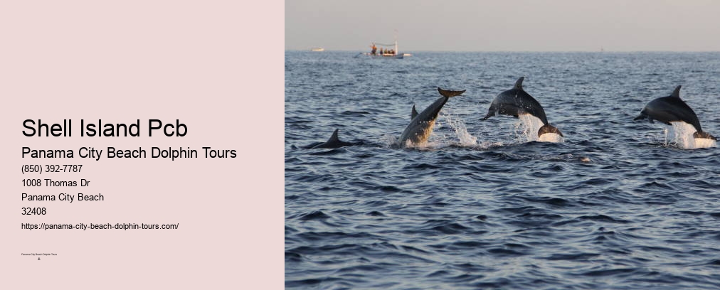 Dolphin & Snorkeling Tours Panama City Beach