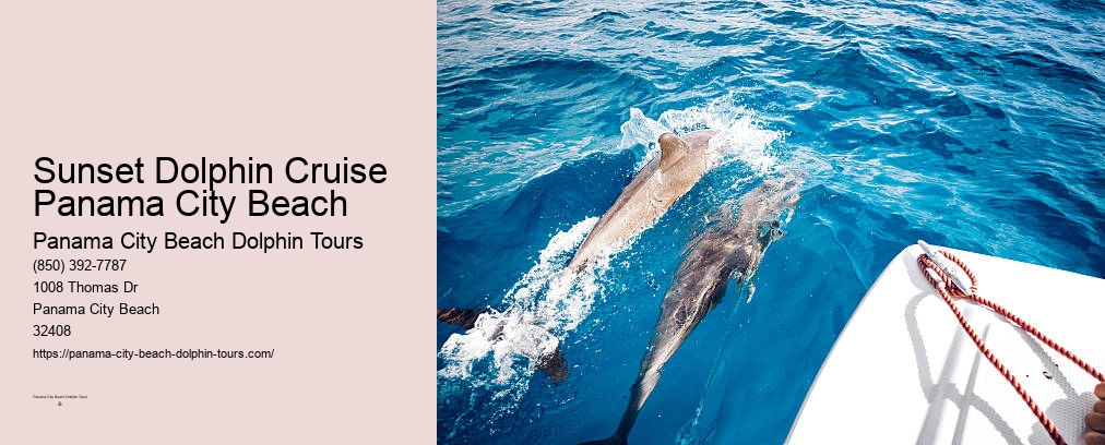 Panama City Beach Dolphin And Snorkeling Tours