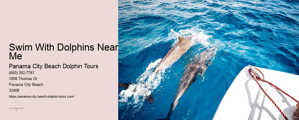 Santa Rosa Beach Dolphin Tours