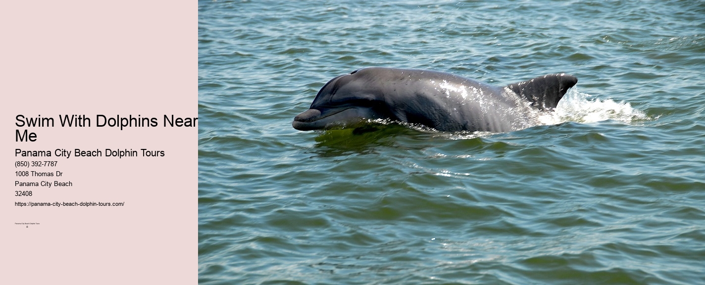 Dolphins Panama City Beach