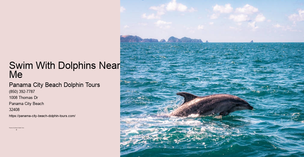 Dolphin Tours Panama City Beach