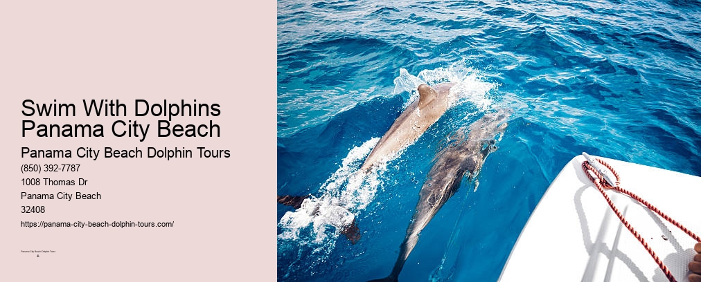 Swim With Dolphins Near Me