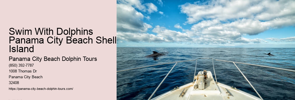 Shell Island Dolphin Tours Panama City Beach