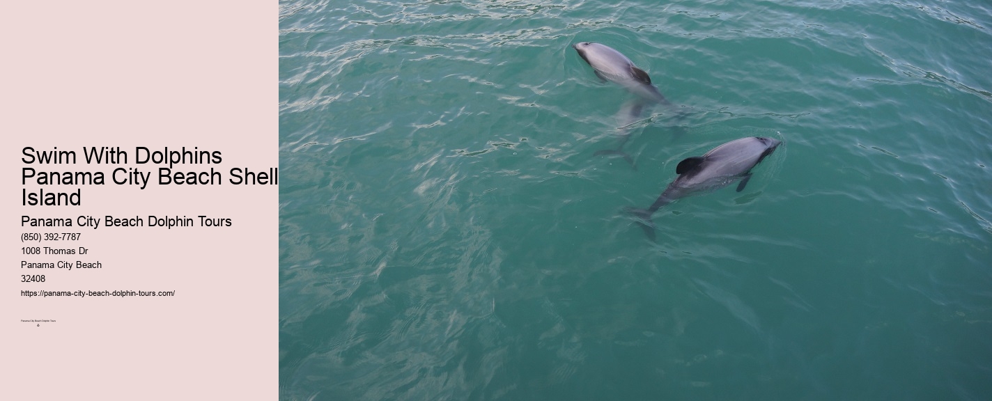 Panama City Beach Dolphin And Snorkeling Tours