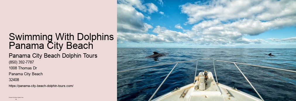 Panama City Beach Dolphins