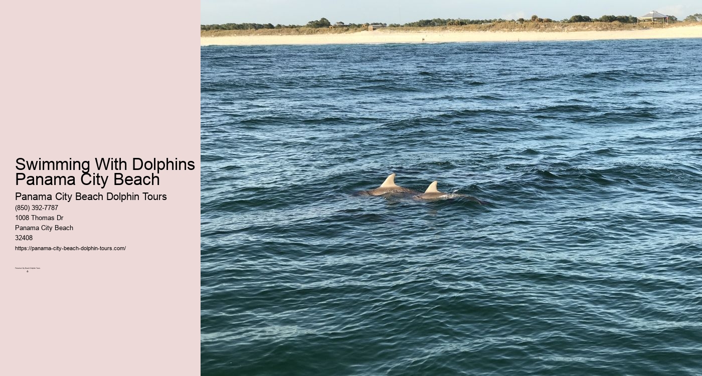 Dolphin Jet Ski Tour Panama City Beach