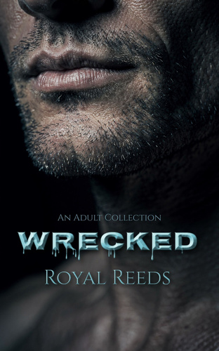 Wrecked: An Adult Collection