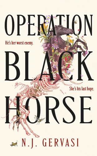 Operation Black Horse