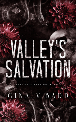 Valley's Salvation, Book 2 of Valley's Rise