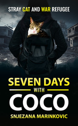 Seven Days with Coco: Stray Cat and War Refugee