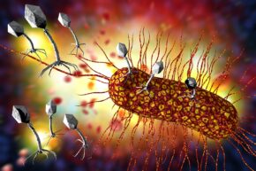 graphic representation of bacteriophages attacking a bacterium