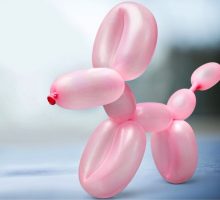 Twisted balloon dog sculpture