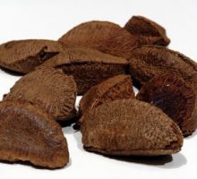 brazil nuts rich in selenium