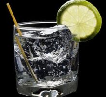 a glass of gin and tonic with ice and a lime slice