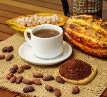 cacao pod with hot dark cocoa beverage