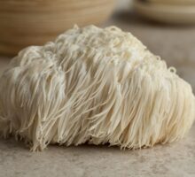 Lion's mane mushroom on table