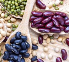 many types of beans to eat are sources of plant protein