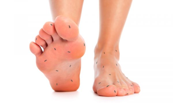 how much acetyl l carnitine for feet peripheral neuropathy 6 Dietary Supplements That Can Improve Natural Therapies for Nerve Damage: