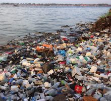 Plastic water bottles and bags washed up on shore polluting the water