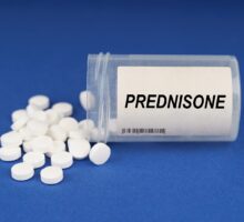 A bottle of pills labeled prednisone