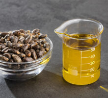 castor beans in a bowl and castor oil in a glass beaker