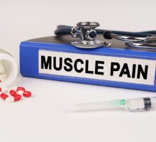 statins and muscle pain