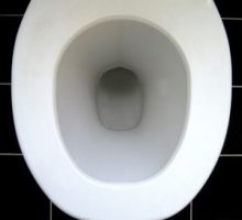 toilet seat from above