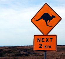 kangaroo crossing sign