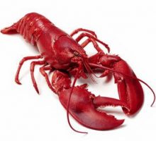 a red lobster