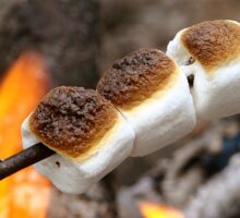 marshmallows on a stick over an open flame