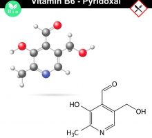 Pyridoxal chemical molecular formula and model, vitamin b6 group