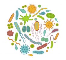 stylized cartoon of your gut microbiota
