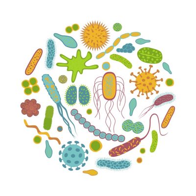 stylized cartoon of your gut microbiota