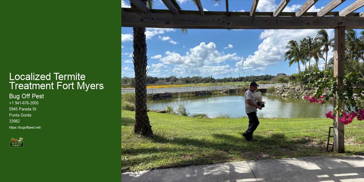 Localized Termite Treatment Fort Myers