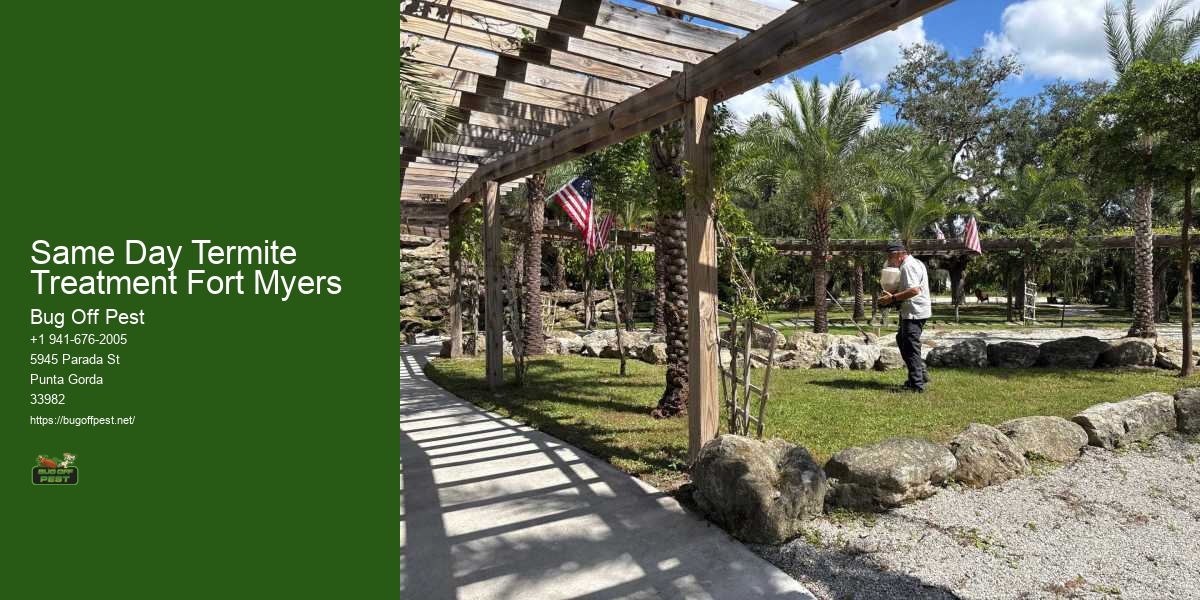 Same Day Termite Treatment Fort Myers