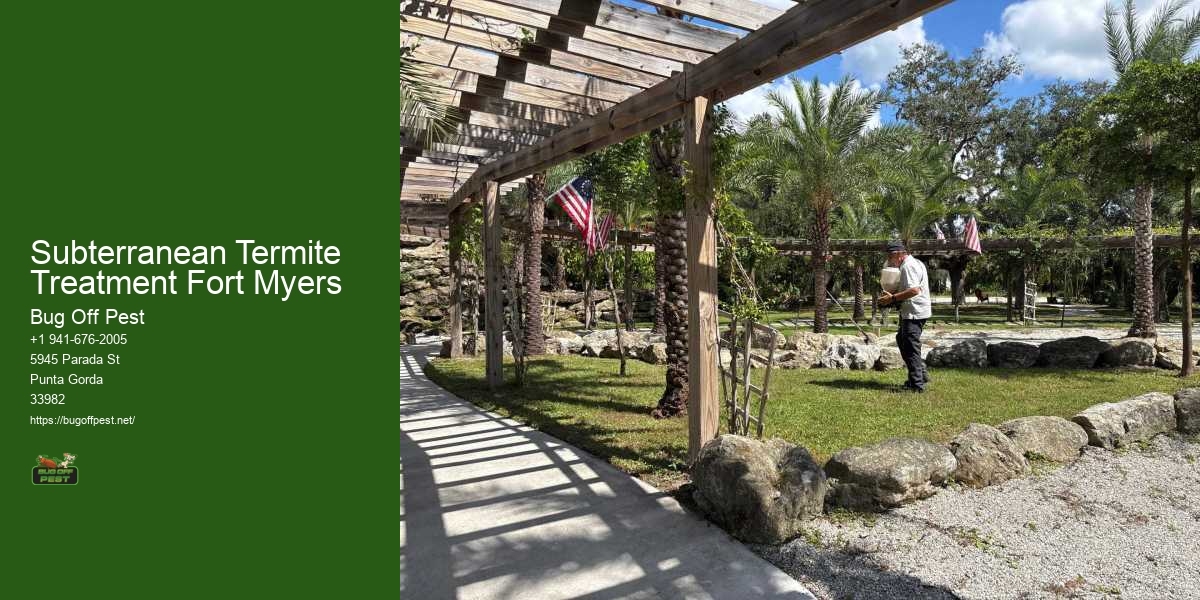 Subterranean Termite Treatment Fort Myers