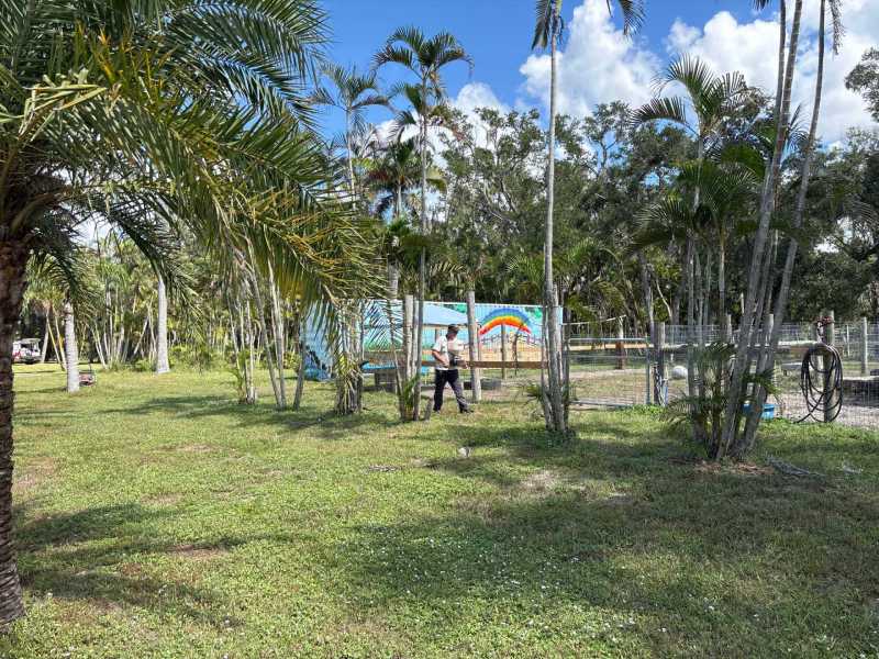 Rodent Control in North Port