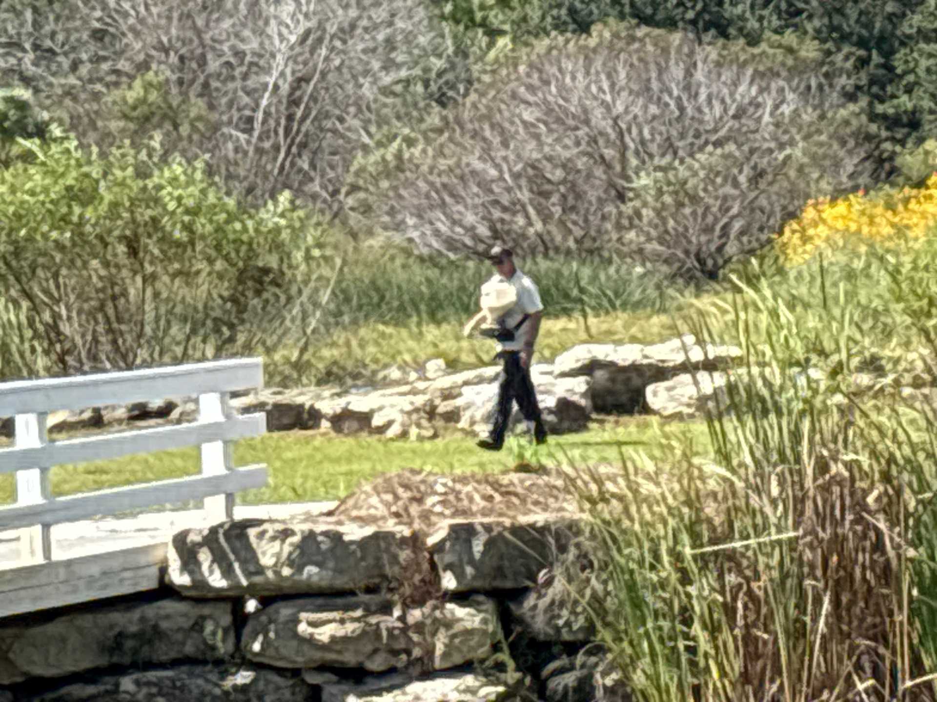 Bee Removal North Port