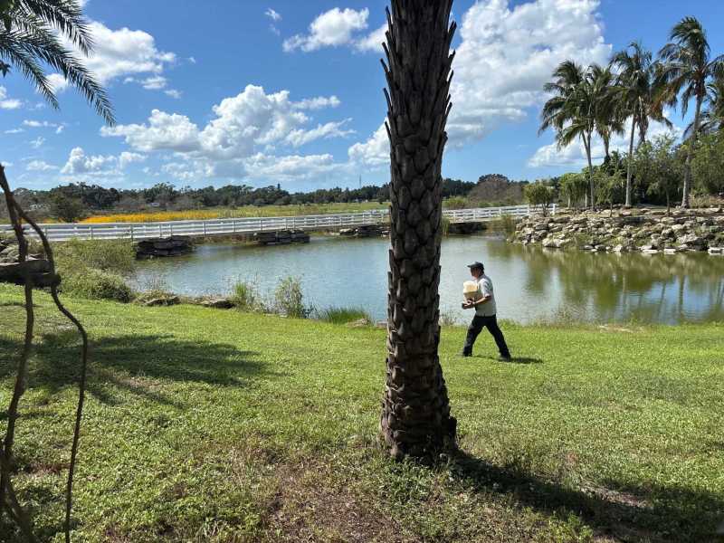 Green Ant Control North Port