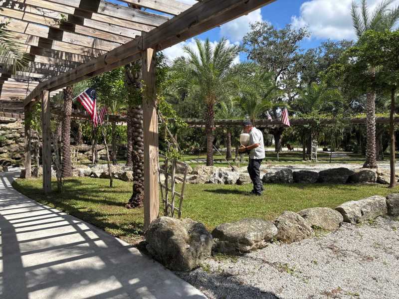 Port Charlotte termite control and mitigation