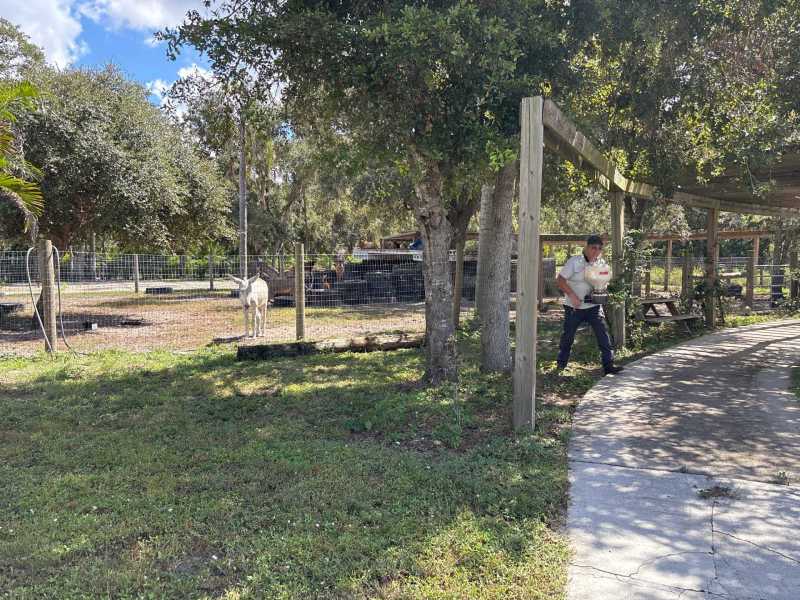 Port Charlotte termite repair and treatment services