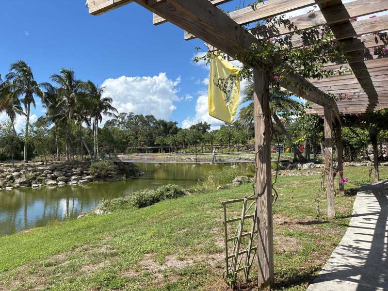 Environmentally safe termite treatment Port Charlotte