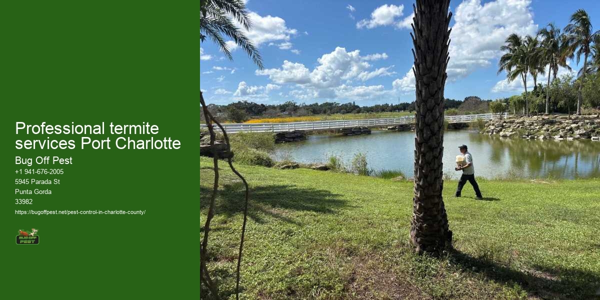 Professional termite services Port Charlotte