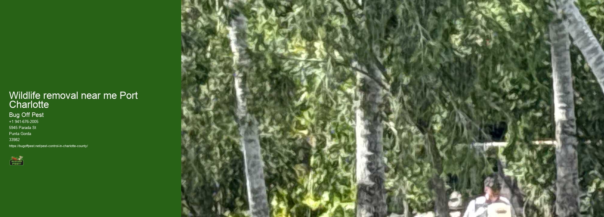 Wildlife removal near me Port Charlotte