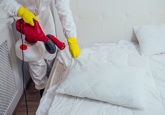 How To Become A Pest Control Technician In Pennsylvania