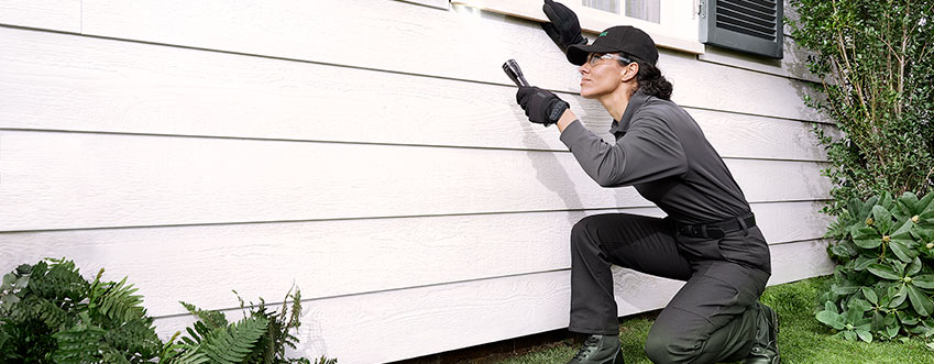 Pest Control Companies In West Chester Pa