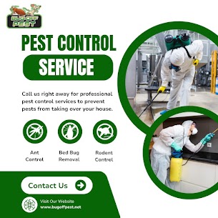 Advanced Pest Control Deals in Fast Pest Solutions in Port Charlotte