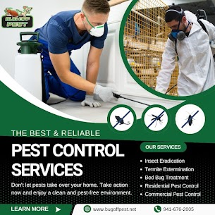 Eco-Friendly Rodent Solutions in Punta Gorda